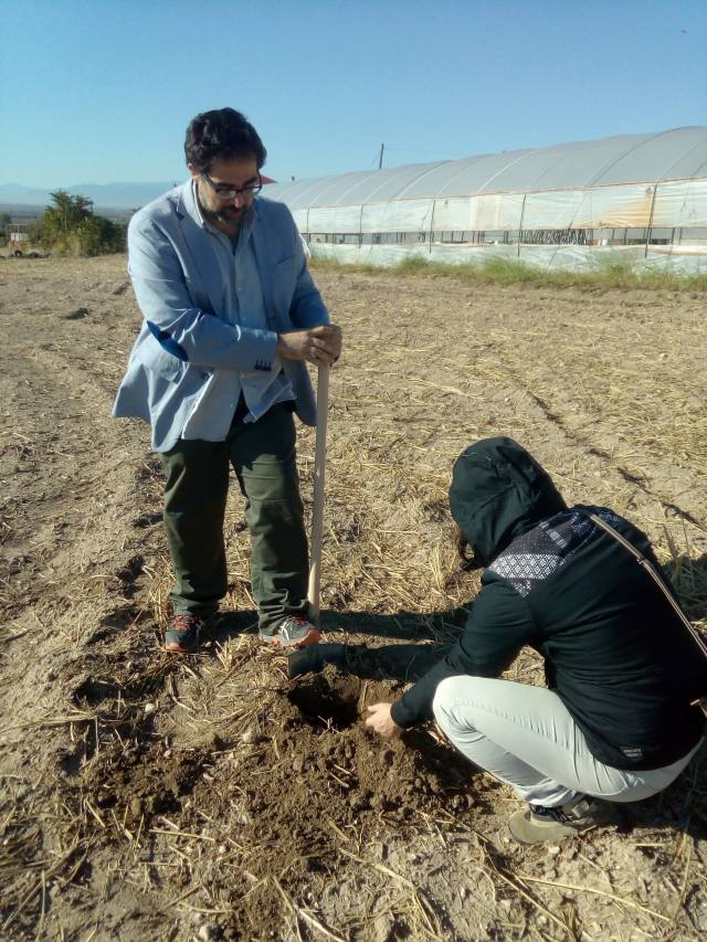 Spade test application in northern Greece