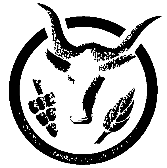 logo save